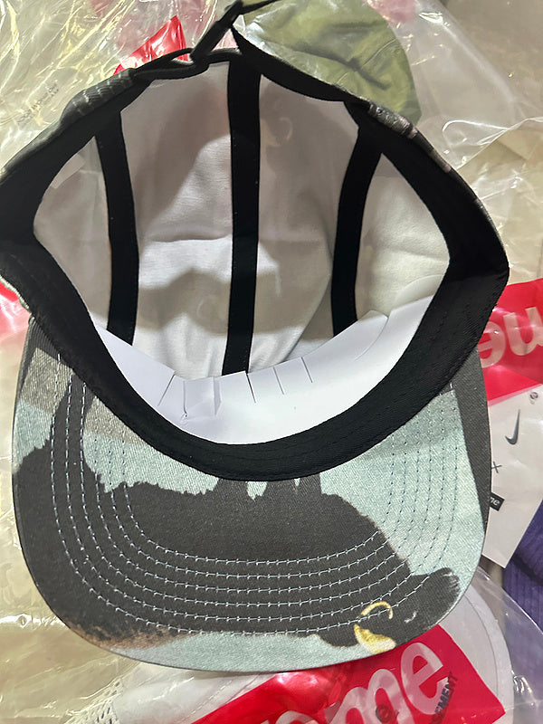 Supreme 25SS Damien Hirst Camp Cap