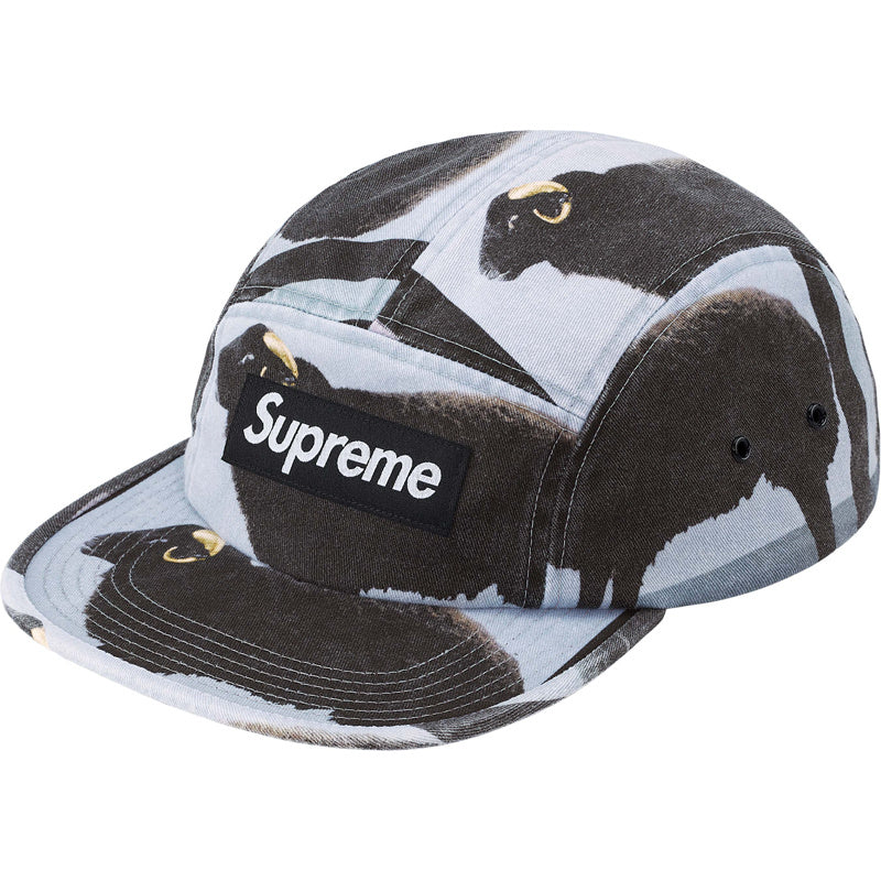 Supreme 25SS Damien Hirst Camp Cap