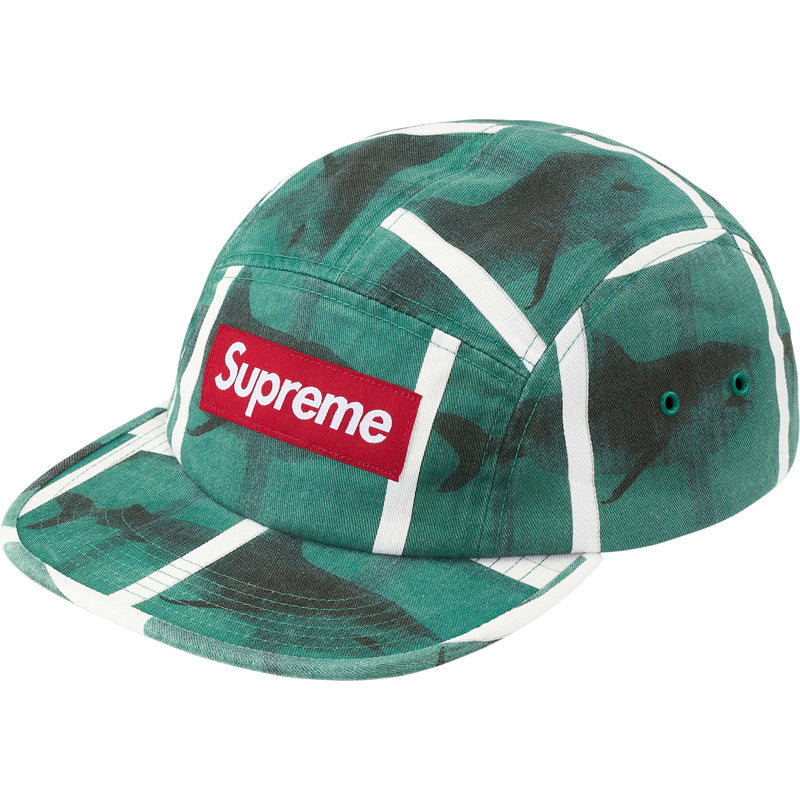 Supreme 25SS Damien Hirst Camp Cap